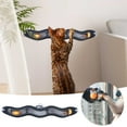 thumbnail image 2 of KMWGRE Interactive Cat Toy Wall Mounted Track Game With Rotating For Indoor Exercise And Play Stimulation Black 57X10cm, 2 of 9