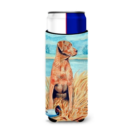 

Caroline s Treasures 7112MUK Chesapeake Bay Retriever Ultra Hugger for slim cans Slim Can multicolor