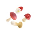thumbnail image 4 of tamizeot 4x Modèle de Champignon Simulation Décorations pour Projets Maternelle DIY Rouge Rouge 21x16x3cm, 4 of 6