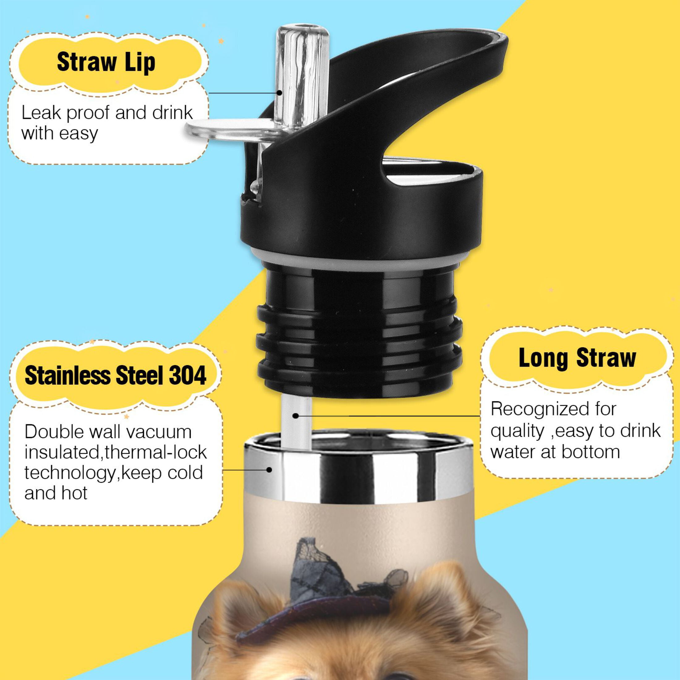 Kids Insulated Stainless Steel Sports Water Bottle 600ml (20oz) Cute Pomeranian Dog and Pumpkins