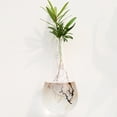 thumbnail image 4 of Wall Hanging Planter Modern: 2PCS Decorative Glass Planter Flower Vase Plant Pot, 4 of 10