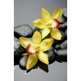 thumbnail image 1 of Wallmonkeys Spa Concept-beautiful Orchid with Zen Stones Peel and Stick Wall Decals Mural WM257180 (12 in W x 18 in H), 1 of 4