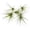 Blue, variant on ragnaroc Air Plants - Tillandsia Tenuifolia Green, Large 3-5" - 2ct - Live Arrival Guaranteed - House Plants for Home Decor & Gift
