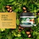 thumbnail image 3 of Mascarilla para cabello Herbal Essences Bío:Renew Reconstruction Mask Argan Oil & Aloe 300 ml, 3 of 5