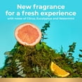 thumbnail image 5 of Irish Spring Body Wash, Reset, Cool Menthol & Ocean Breeze Scent, 20 Ounce Bottle, 5 of 16