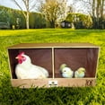 thumbnail image 3 of Rugged Range Products Duplex Chicken Coop Nesting Box for 2 to 4 Hens, 3 of 6
