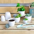 thumbnail image 4 of 10 Pack 3 Inch Mini Plastic Planters Indoor Flower Plant Pots, White Gardening Pot with Drainage for All House Plants - Modern YE391.781, 4 of 4