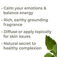 thumbnail image 3 of Plant Therapy Aromatherapy 100mL Essential Oil, 3.3 Oz, Patchouli (3 Pack), 3 of 8