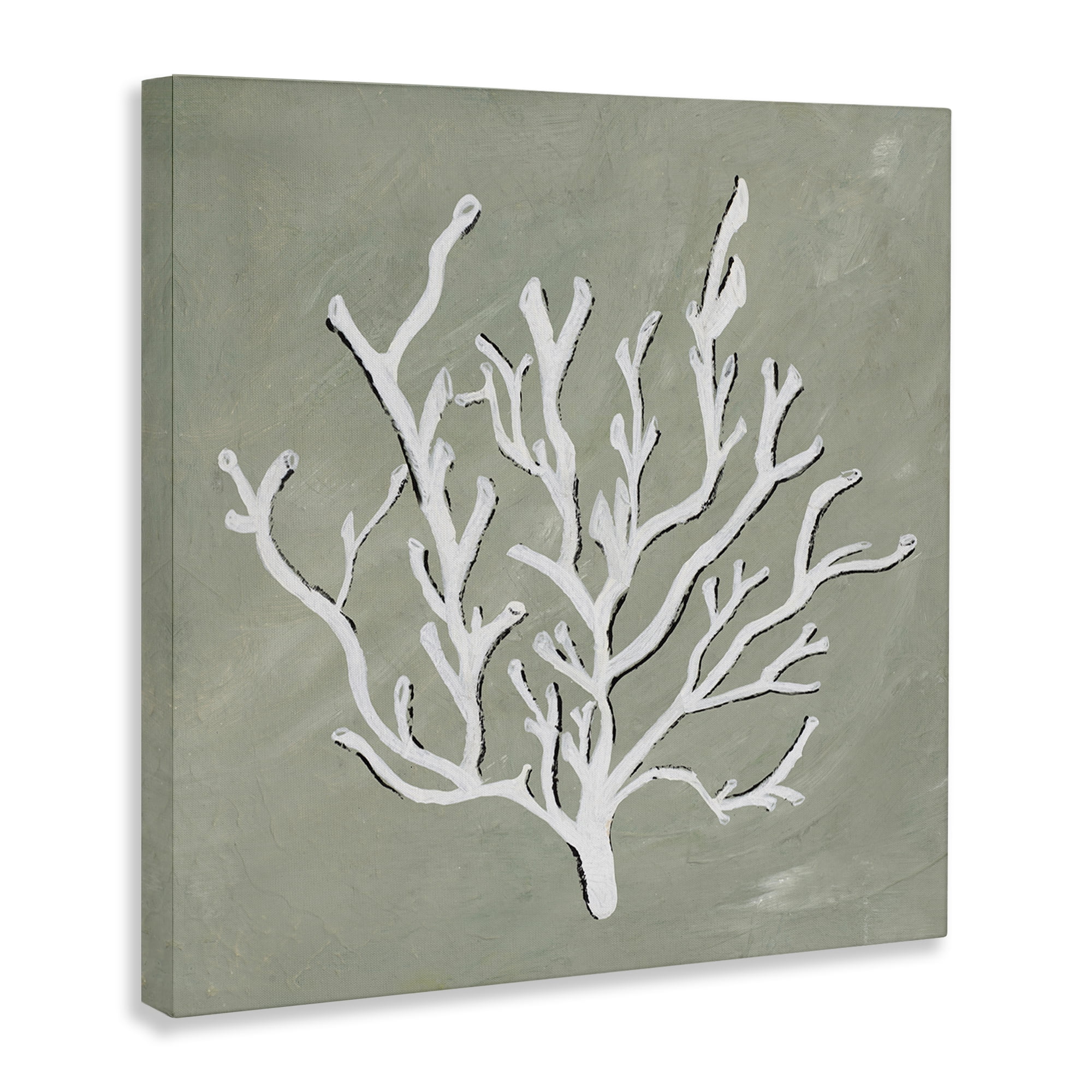 Stupell Industries White Coral Impression Coastal Painting Gallery Wrapped Canvas Art Print Wall Art, 30 x 30