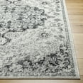 thumbnail image 4 of Livabliss Harput Vintage Medallion Area Rug,3'11" x 5'7",Charcoal, 4 of 9