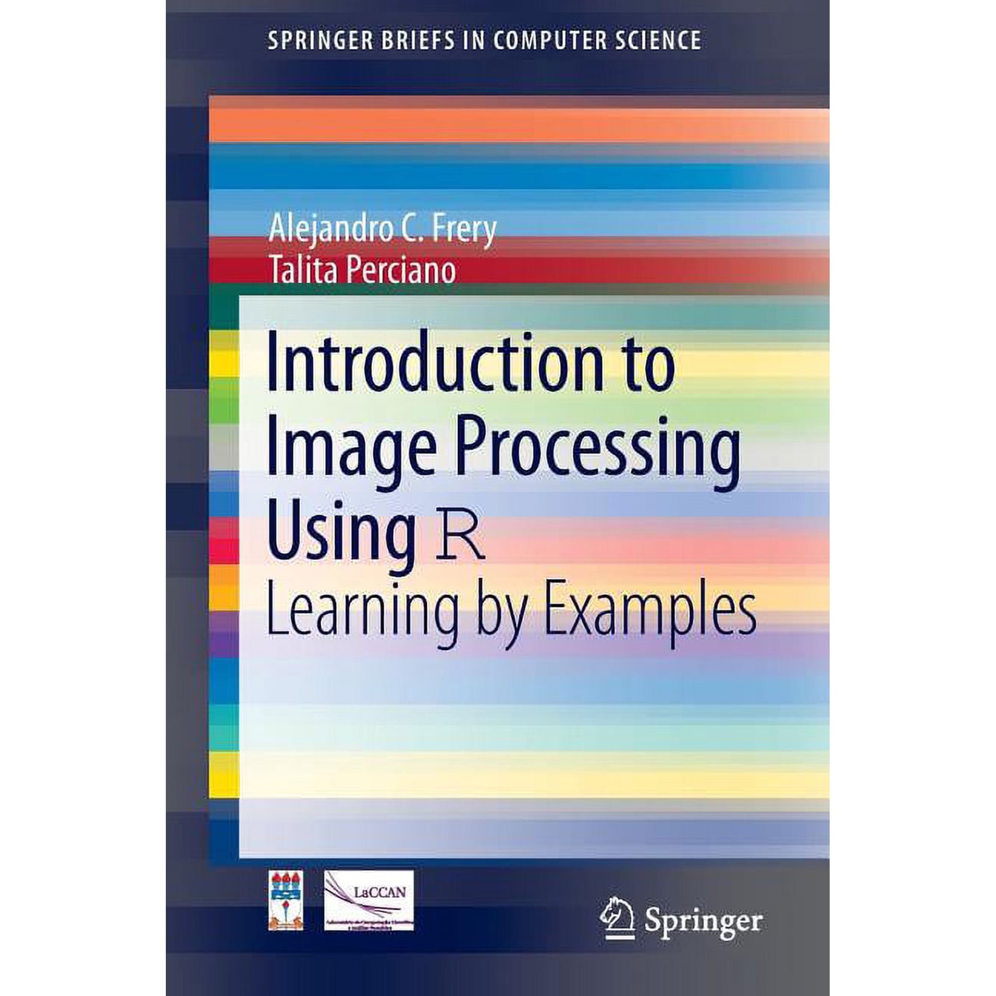 Springerbriefs in Computer Science Introduction to Image Processing Using R: Learning by Examples (Paperback)
