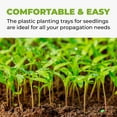 thumbnail image 5 of 1020 Trays with Holes (50 Pack) for Microgreens Growing Trays, Made in USA, Premium 10" x 20" Propagation Tray for Seed Trays and Flats Reusable, Fodder Trays with Drain Holes, 5 of 7