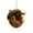 animal figurines, variant on 2D Acrylic Nut Animal Series Decorative Pendant, Car Rearview Mirror Ornament With 2D Cute Animal & Nut Design, 10Cm For Car Interior Personalization And Gifting