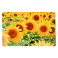 thumbnail image 1 of Plastic Placemat (Sunflower Field)-Set of 12, 1 of 1