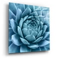thumbnail image 2 of Epic Art 'Silvery Blue Agave' by Jan Bell Acrylic Glass Wall Art, 36"x36", 2 of 8