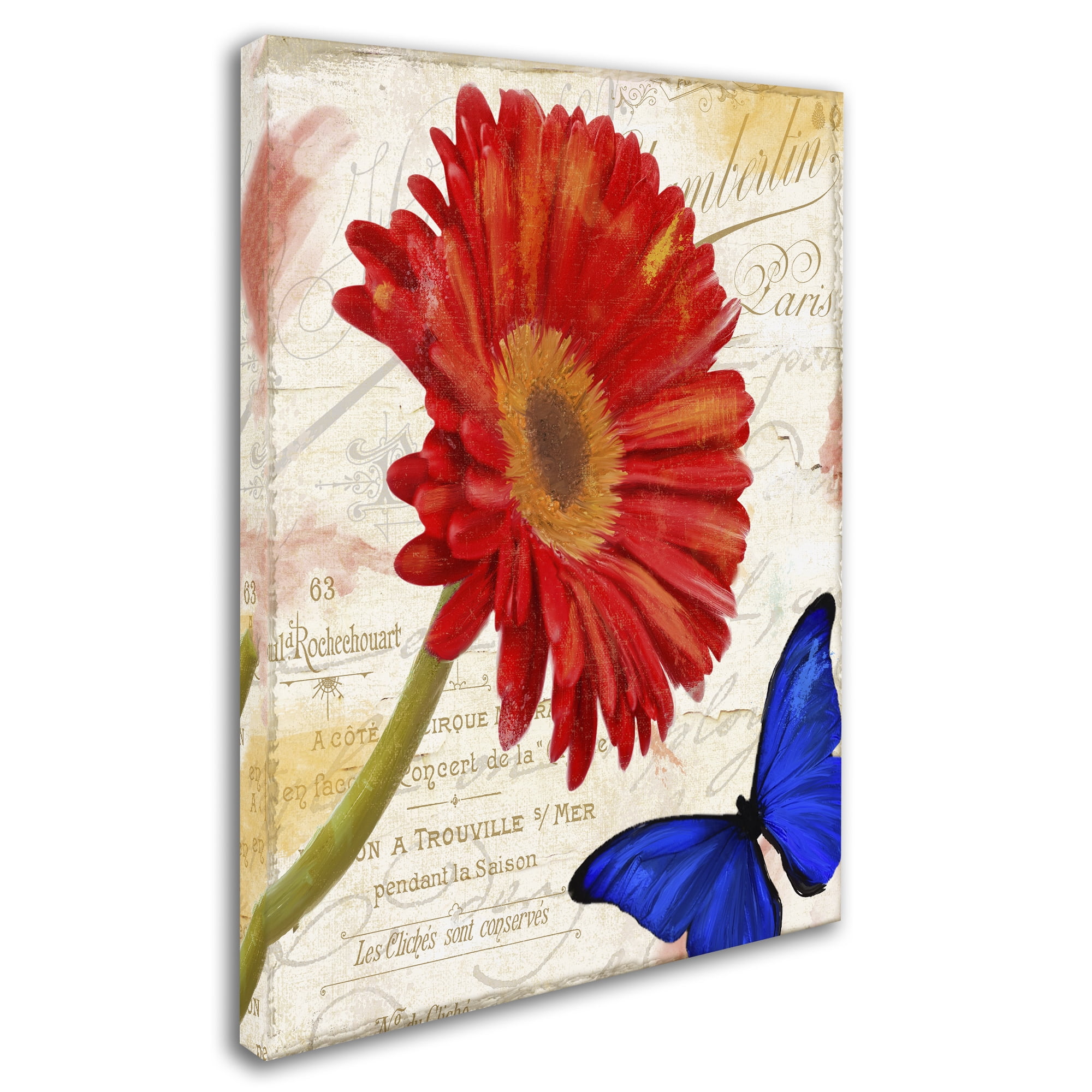 Trademark Fine Art "Gerbera Daisy" Canvas Art by Color Bakery