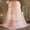 Double Layer-beige Pink, variant on Mosquito Net Bed Canopy for Girls, Princess Canopy Bed Curtain Fine Sheer Mesh Dome Bed Canopies, Kids & Adults Lace Tent for Twin Full Queen King Bed (Black)