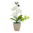thumbnail image 1 of keepw Nouveau Pot de Fleurs Simulé pour Intérieur Ou Extérieur Apparence Réaliste Bonsaï Polyvalent, 1 of 6