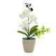 thumbnail image 1 of Matsuzay Flores artificiales en maceta, elegante, duradera, duradera, para interiores o exteriores, nueva flor de simulación Flores artificiales D, 1 of 6
