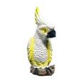 thumbnail image 4 of Figura de Pájaro Shamjiam Decoración de Acuario Estatua de Loro Resina, 4 of 8