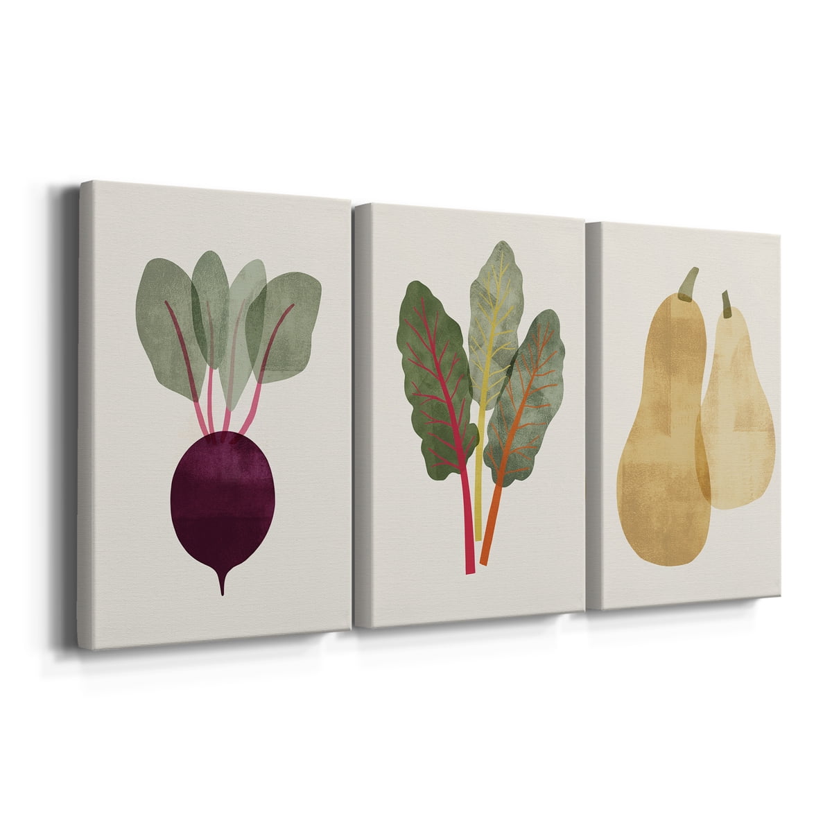Organic Veg IX Premium Gallery Wrapped Canvas - Ready to Hang - 18 x 27 Each