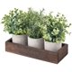 thumbnail image 5 of Plantas artificiales de eucalipto falsas con bandeja de madera, paquete de 3 unidades Dahey, 5 of 6