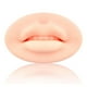 thumbnail image 1 of importsportslover 5D labios de silicona práctica entrenamiento de labios de cejas para artistas y Color claro Salvador Dali Práctica de labios, 1 of 4