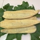thumbnail image 3 of Estropajo grande entero natural del plato vegetal de la lufa para la cocina Baño Esponja Exfoliante corporal Depurador Ducha Lufa Loofa Luffa Celulosa Biodegradab, 3 of 4