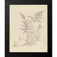 thumbnail image 2 of Nai, Danhui 12x14 Black Modern Framed Museum Art Print Titled - Vintage Nature Sketchbook VI, 2 of 5