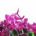 thumbnail image 4 of Follaje Artificial JARDIMEX 60 x 40 cm Flores Muro rosa, 4 of 6