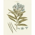 thumbnail image 3 of Miller, John 12x14 Black Modern Framed Museum Art Print Titled - Bashful Blue Florals III, 3 of 5
