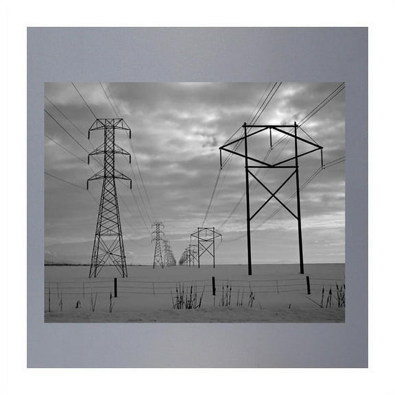 Wallhogs Batie Power Lines Poster Wall Mural