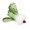 A, variant on Chinese Cabbage Glass Statue with Solid Wood Base Auspicious Wealth Symbol Vegetable Figurine Desktop Bookshelf Home Decor Hand Blown Colored Glaze Housewarming Gift