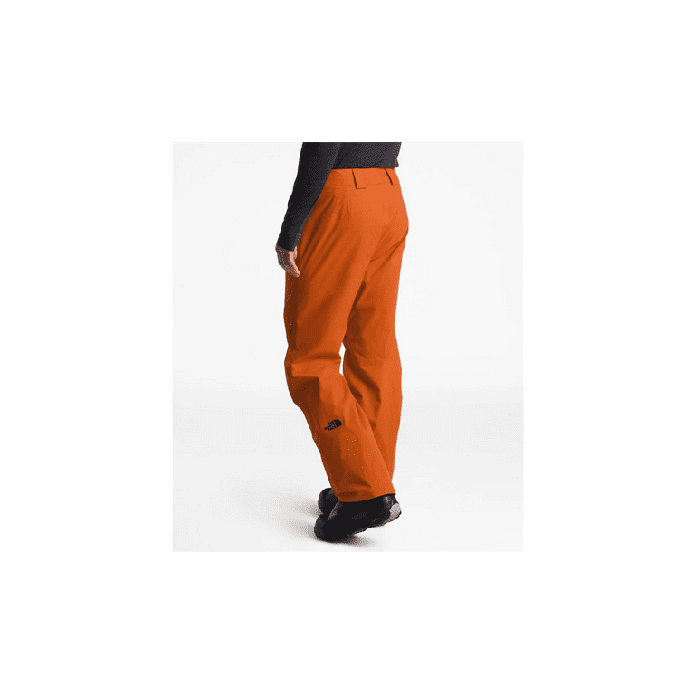 The North Face Freedom Pant - Ski trousers Men's, Free EU Delivery
