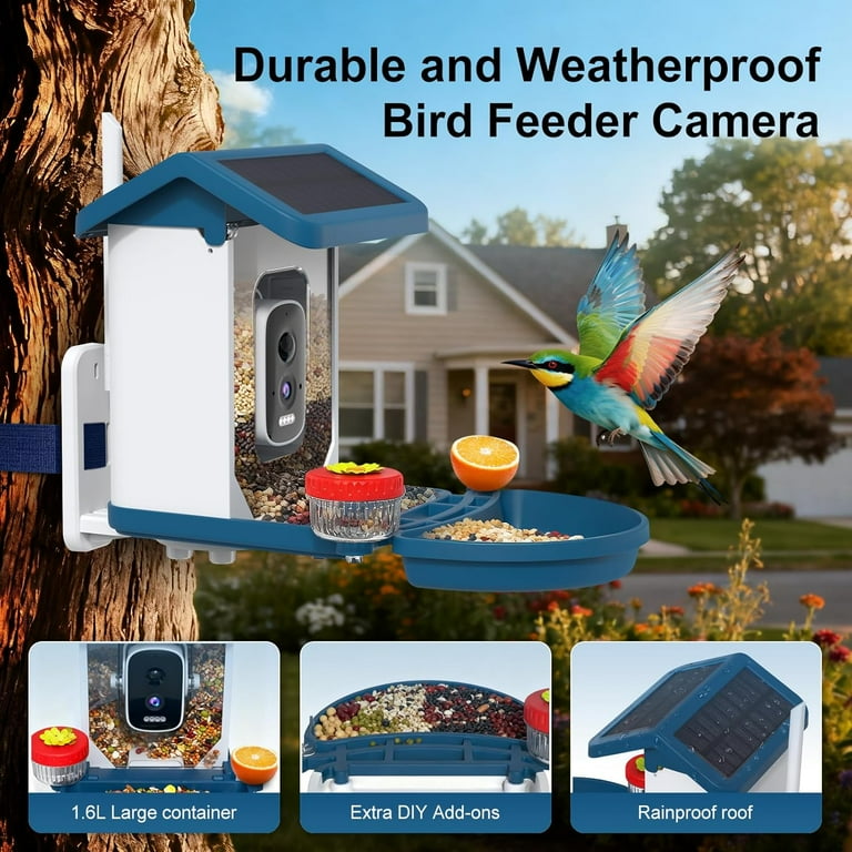 MINIXTEC Smart Bird Feeder with Camera, 4K HD Night Vision, Solar