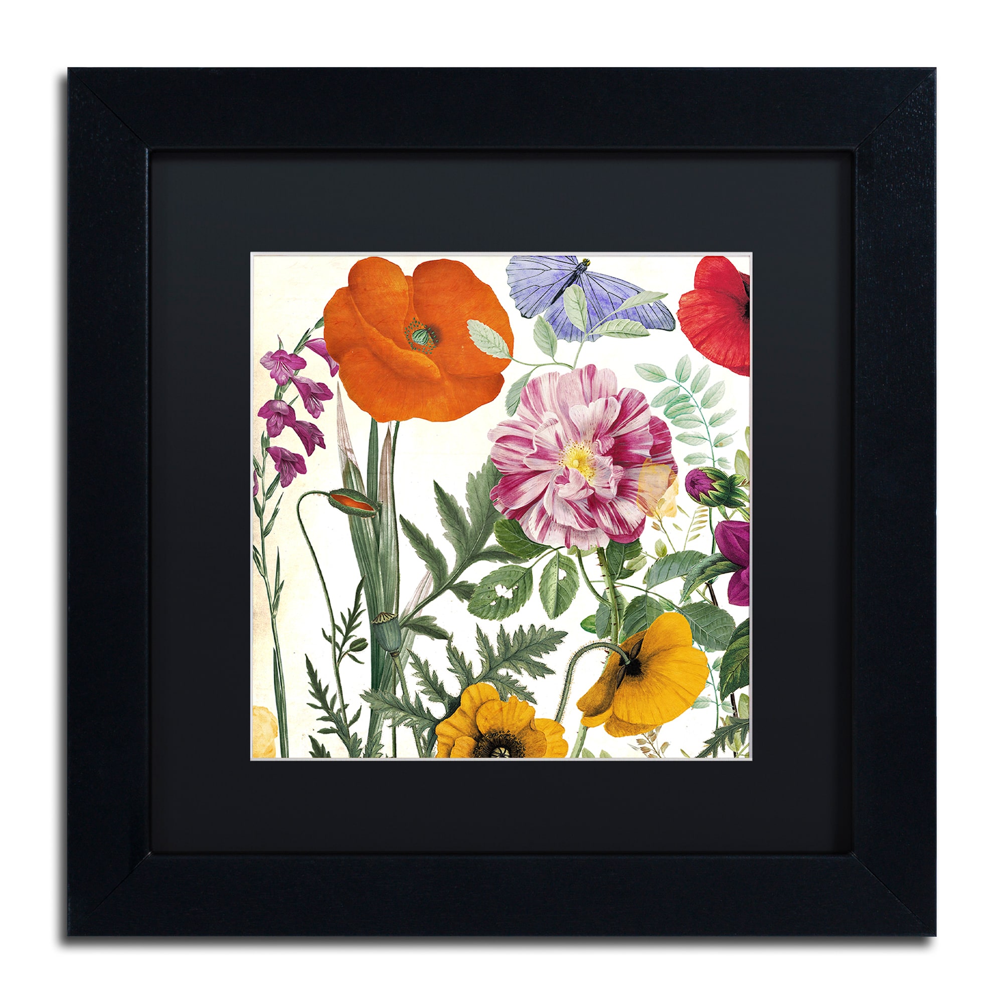 Trademark Fine Art "Printemps II" Canvas Art by Color Bakery, Black Matte, Black Frame