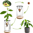 thumbnail image 3 of 3 Pack Avocado Tree Growing Kits, Glass Avocado Seed Vase with Triangle Bracket and Bamboo Base, Sprouting Plant Pot, 3 of 7