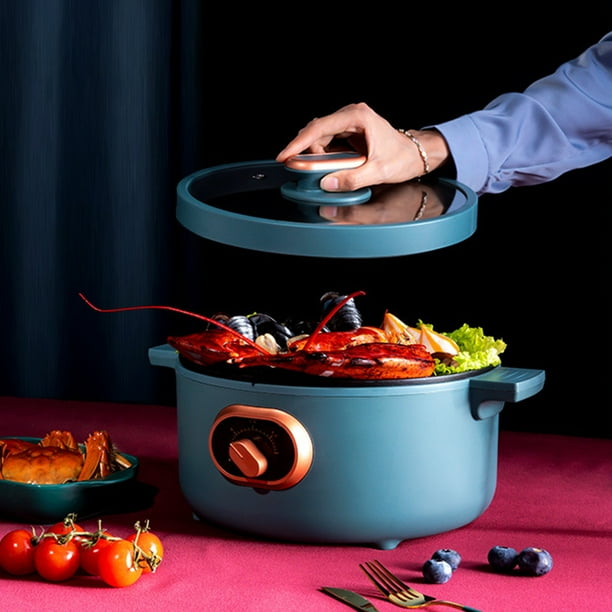 Multipurpose cooker electric sale