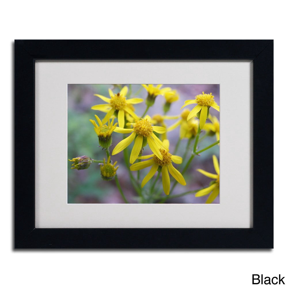 Trademark Fine Art "Intriguing Dynasty" Canvas Art by Monica Fleet, Wood Frame