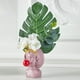 thumbnail image 2 of Little Girl Blowing Bubbles Maceta De Plantas De Cactus Suculentas, Macetero De Rosa con Sunnimix Maceta suculenta, 2 of 6