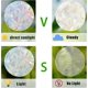 thumbnail image 3 of Adhesivos para ventanas con fases lunares de Yjmei, pegatinas de vidrio anticolisión con arcoíris estáticos, pegatinas de alerta para ventanas, decoraciones para atrapasol, vinilo prismático no adhesi, 3 of 4