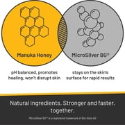 Silver Honey Nourish & Soothe Shampoo with Odor Neutralizer for Dogs & Cats, 16 fl oz Pump Bottle