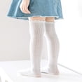 thumbnail image 3 of JUNWELL 2pcs/Pack Girl Mesh Mosquito-Repellent Socks Thin Over Knee Straight Socks, 3 of 7