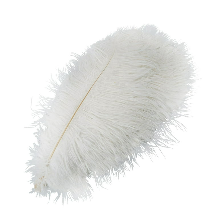 White Ostrich Feather Plume