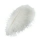 thumbnail image 1 of Observaciones para pedidos de compra: 10 piezas por paquete 45-50 varilla delgada pluma de avestruz puesta en escena pluma blanca boda decoración DIY plumas coloridas/avestruz ANGGREK Otros, 1 of 8