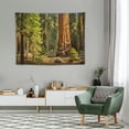 thumbnail image 2 of ONETECH  Autumn Tree California Tapestry, Redwood Trees Sequoia National Park Large Wall Hanging Tablecloths Psychedelic Tapestry Bedroom Living Room Dorm(Redwood Green Wood), 2 of 7