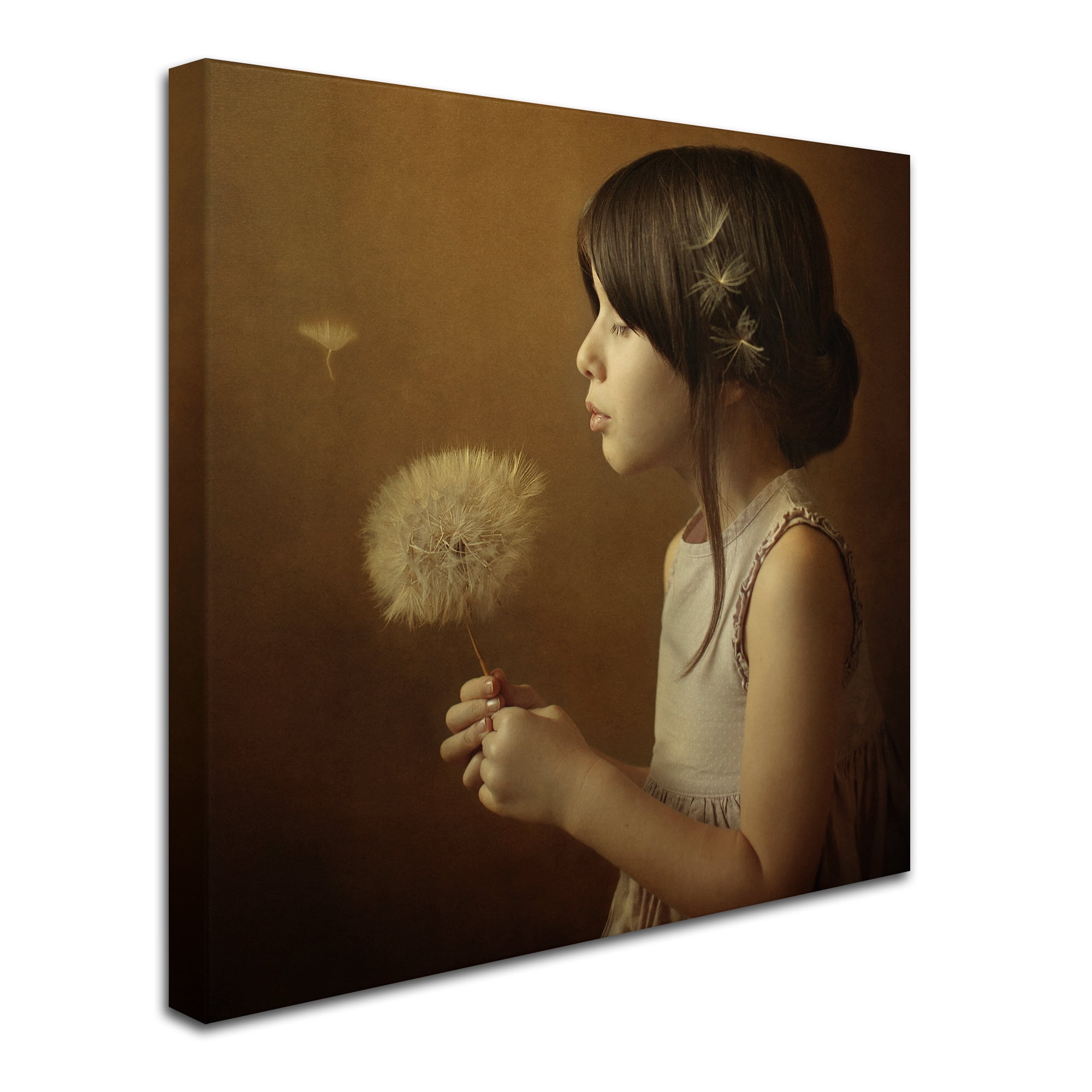 Trademark Fine Art 'A Dandelion Poem' Canvas Art by Svetlana Bekyarova