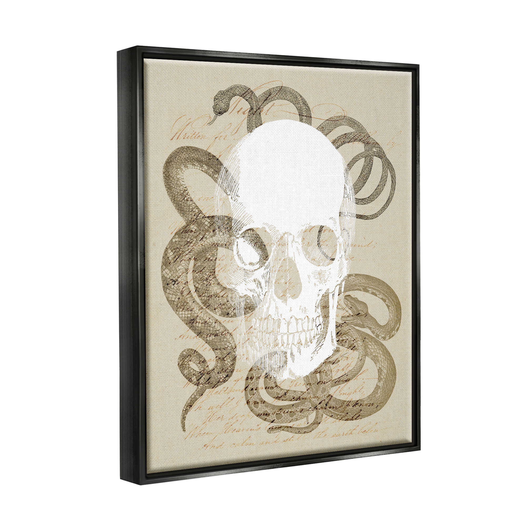 Stupell Industries Skull & Snake Vintage Script Animals & Insects Painting Black Floater Framed Canvas Art Print Wall Art, 25 x 31