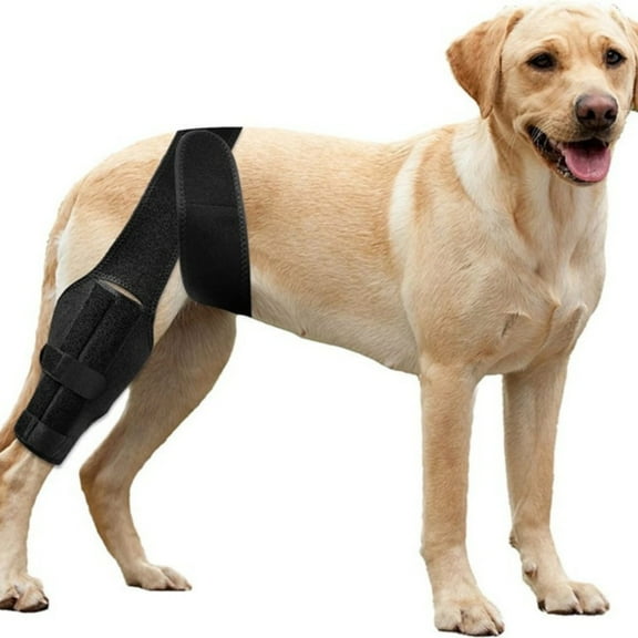 VISALY Dog Knee Brace for Hind and Rear Leg, Support for Dog ACL CCL Cruciate Ligament Injury Joint Pain and Muscle Sore,Size L