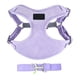 thumbnail image 1 of Correa ajustable para perros Air Flex, 1 of 5